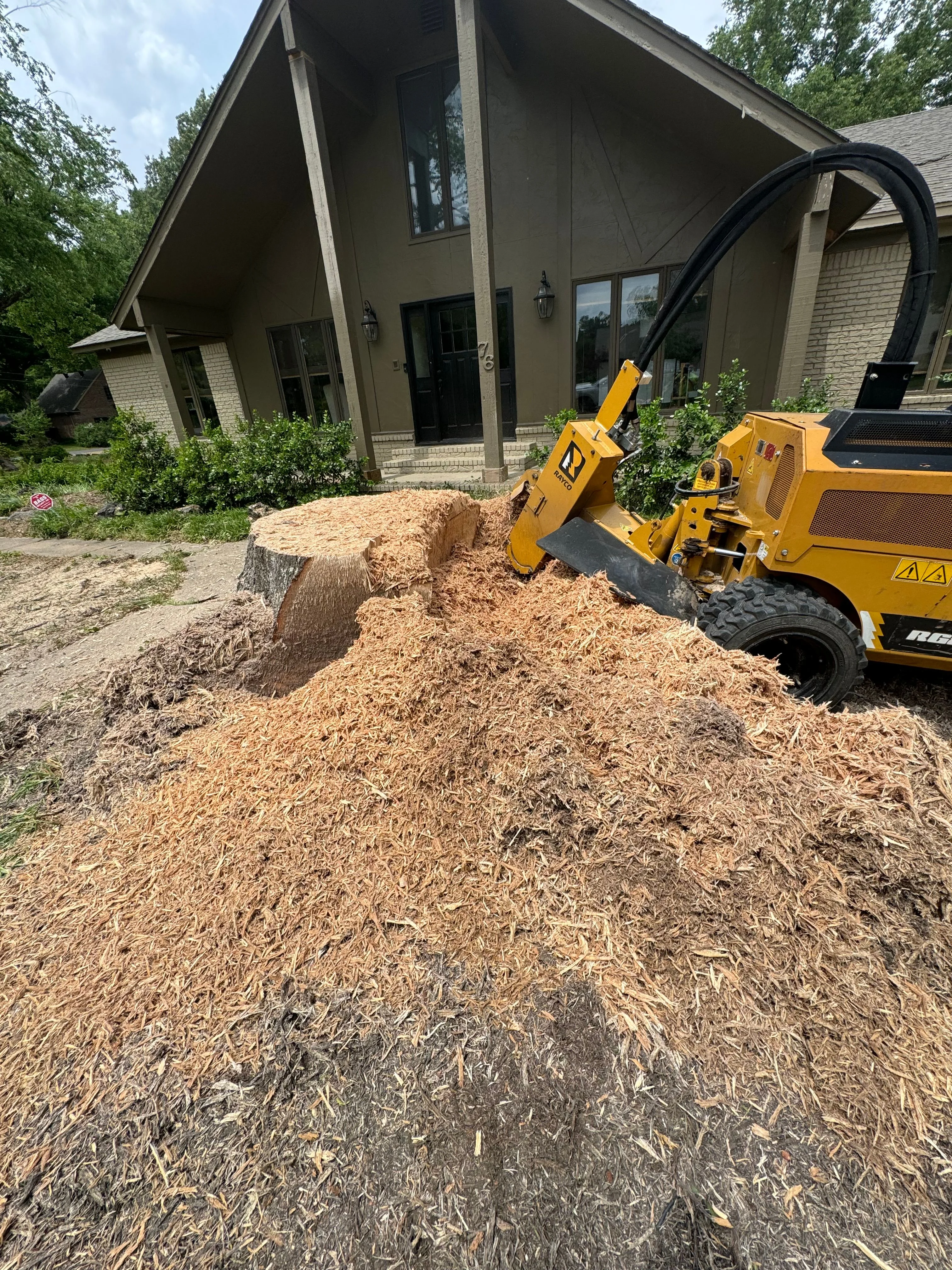 Professional arborist trimming a large oak tree in Destin Florida