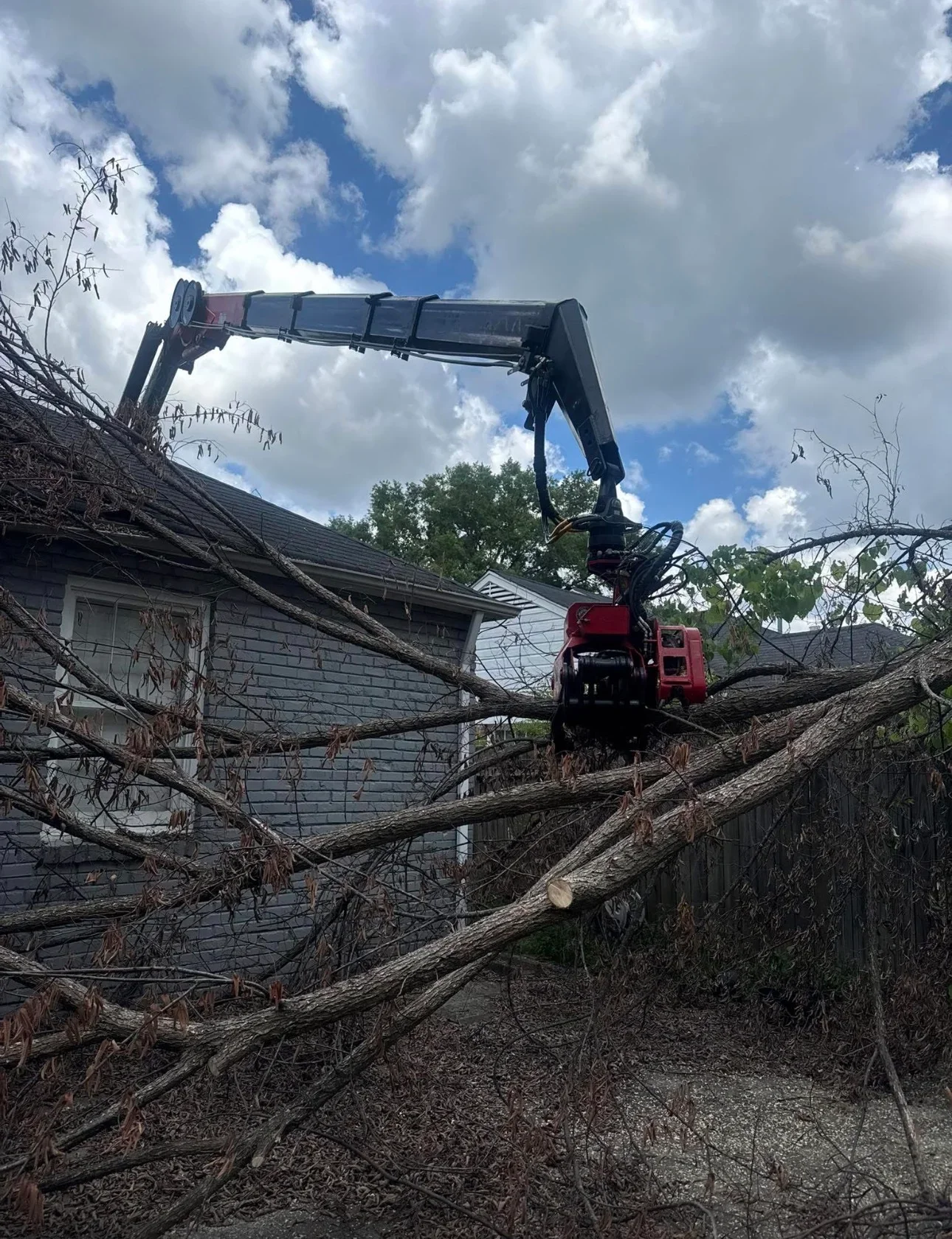 Red tracked excavator with boom grapple removing large fallen tree near residential home